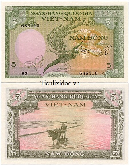 5 ĐỒNG LONG PHỤNG