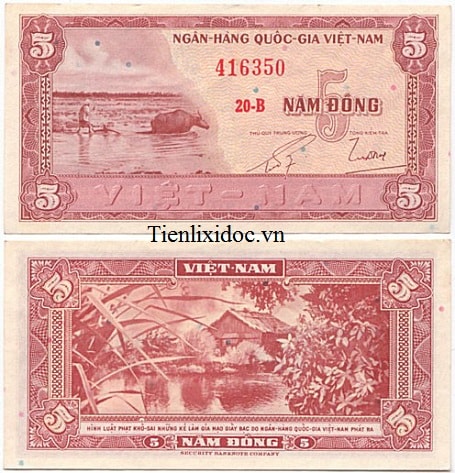 5 ĐỒNG TRÂU CÀY