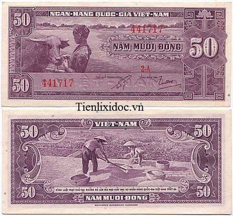 50 ĐỒNG XỎ MŨI TRÂU