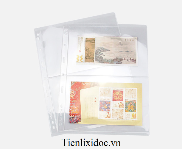 phơi sưu tầm tiền 2 ngăn