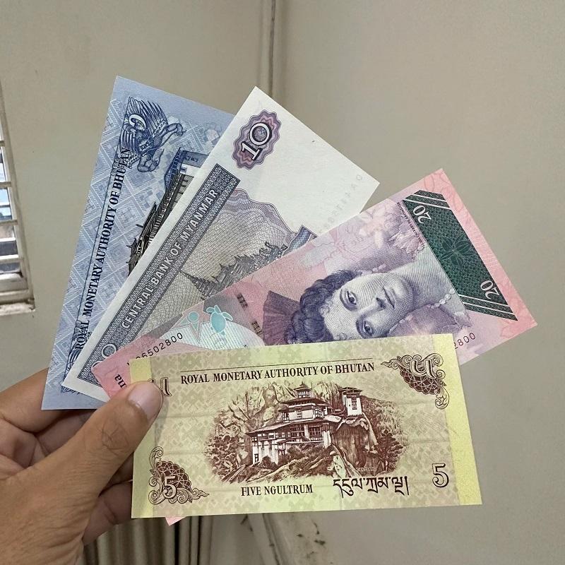 Bộ Tiền Lì Xì Tứ Linh Long Lân Quy Phụng( Mẫu 2 - Rùa Hồng)