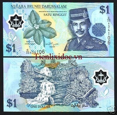 Brunei 1 Ringgit 1996 - Polymer