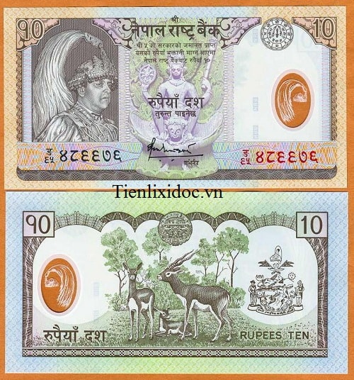 Nepal 10 Rupees - polymer
