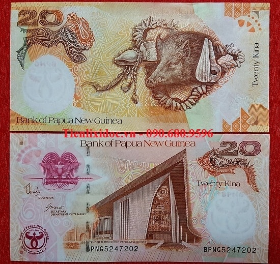 Tiền Con Heo Papua New Guinea