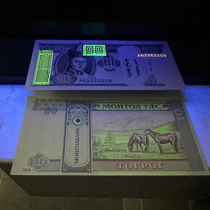 Bán sỉ Combo 100 Tờ Tiền Ngựa Mông Cổ 10 Tugrik
