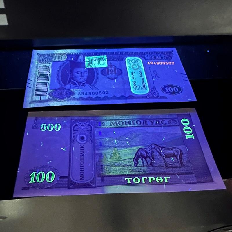 Sỉ 100 Tờ Tiền Con Ngựa Mông Cổ 100 Tugrik Lì Xì Tết Bính Ngọ 2026 Độc Đáo