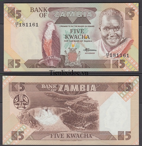 Zambia 5 kwacha